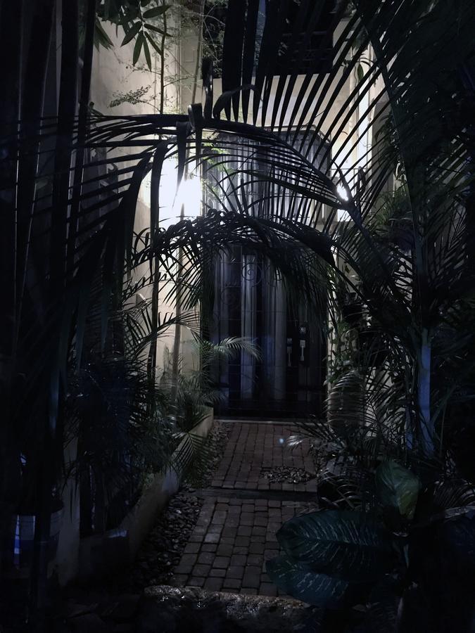 Colonia Americana Two Level Loft Guadalajara Zewnętrze zdjęcie